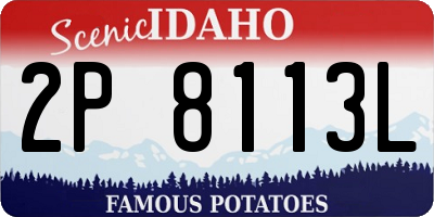 ID license plate 2P8113L