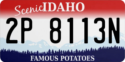 ID license plate 2P8113N