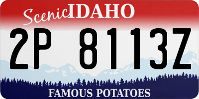 ID license plate 2P8113Z