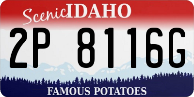 ID license plate 2P8116G