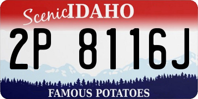 ID license plate 2P8116J
