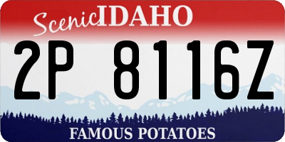 ID license plate 2P8116Z