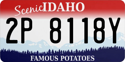 ID license plate 2P8118Y