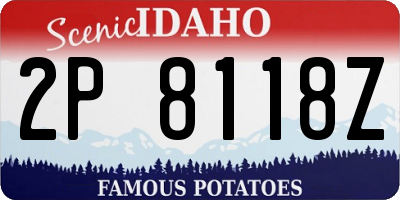 ID license plate 2P8118Z