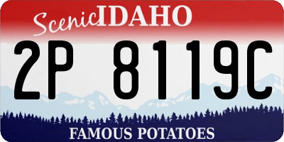ID license plate 2P8119C
