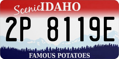ID license plate 2P8119E