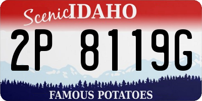ID license plate 2P8119G