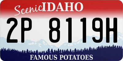 ID license plate 2P8119H