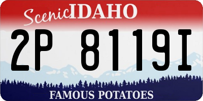 ID license plate 2P8119I