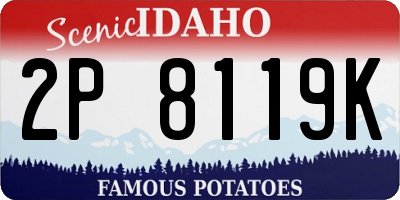 ID license plate 2P8119K