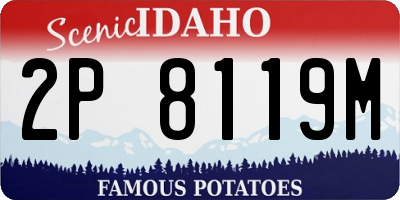 ID license plate 2P8119M