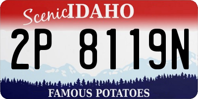 ID license plate 2P8119N