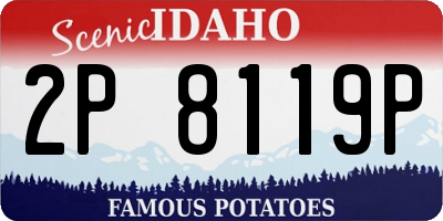 ID license plate 2P8119P