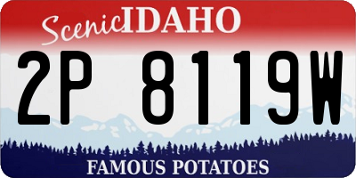 ID license plate 2P8119W