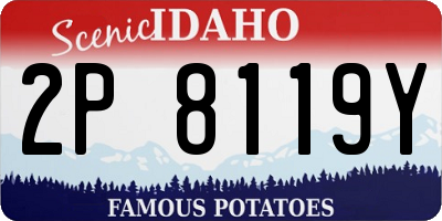 ID license plate 2P8119Y