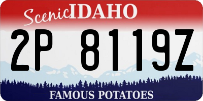 ID license plate 2P8119Z