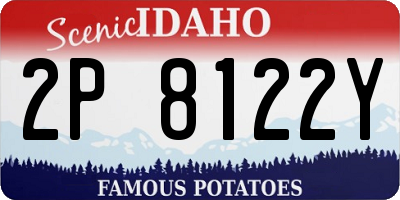 ID license plate 2P8122Y