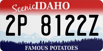 ID license plate 2P8122Z