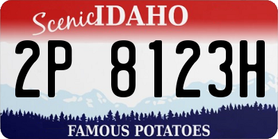ID license plate 2P8123H