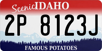 ID license plate 2P8123J
