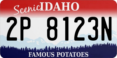 ID license plate 2P8123N