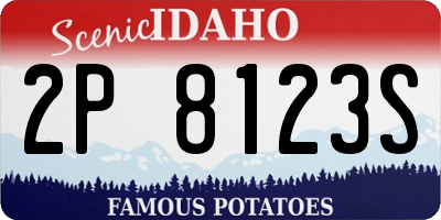 ID license plate 2P8123S