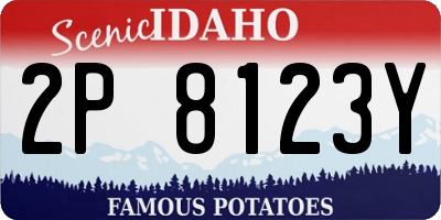 ID license plate 2P8123Y