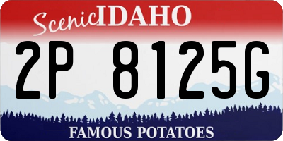 ID license plate 2P8125G