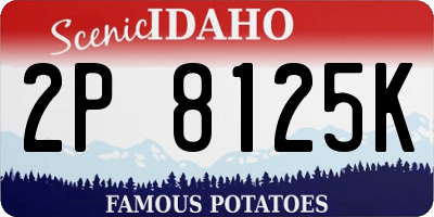 ID license plate 2P8125K