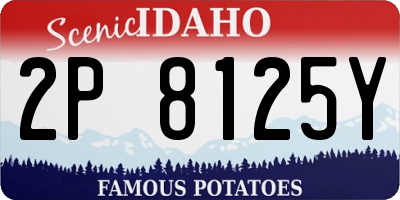 ID license plate 2P8125Y
