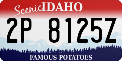 ID license plate 2P8125Z