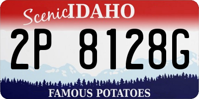 ID license plate 2P8128G
