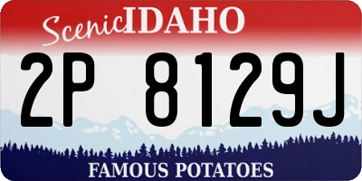 ID license plate 2P8129J