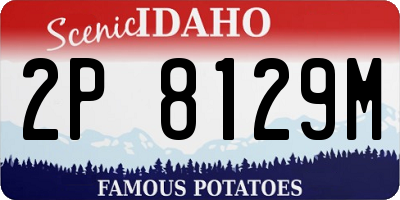 ID license plate 2P8129M