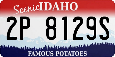 ID license plate 2P8129S