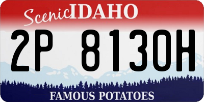 ID license plate 2P8130H
