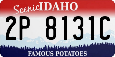 ID license plate 2P8131C