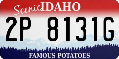 ID license plate 2P8131G