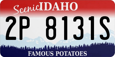 ID license plate 2P8131S