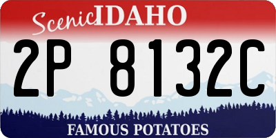 ID license plate 2P8132C