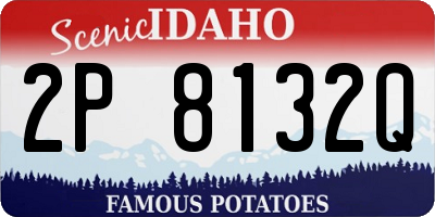 ID license plate 2P8132Q
