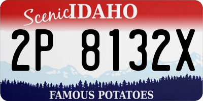 ID license plate 2P8132X