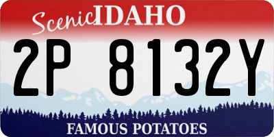 ID license plate 2P8132Y