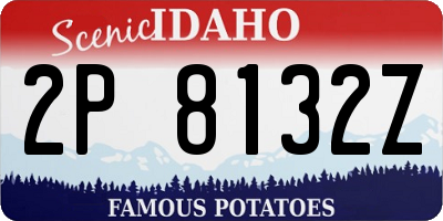 ID license plate 2P8132Z