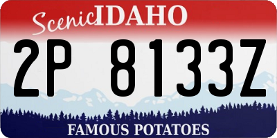 ID license plate 2P8133Z