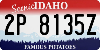 ID license plate 2P8135Z