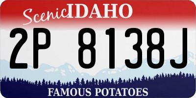 ID license plate 2P8138J