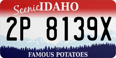 ID license plate 2P8139X