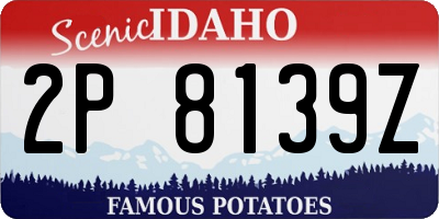 ID license plate 2P8139Z