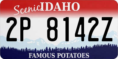 ID license plate 2P8142Z